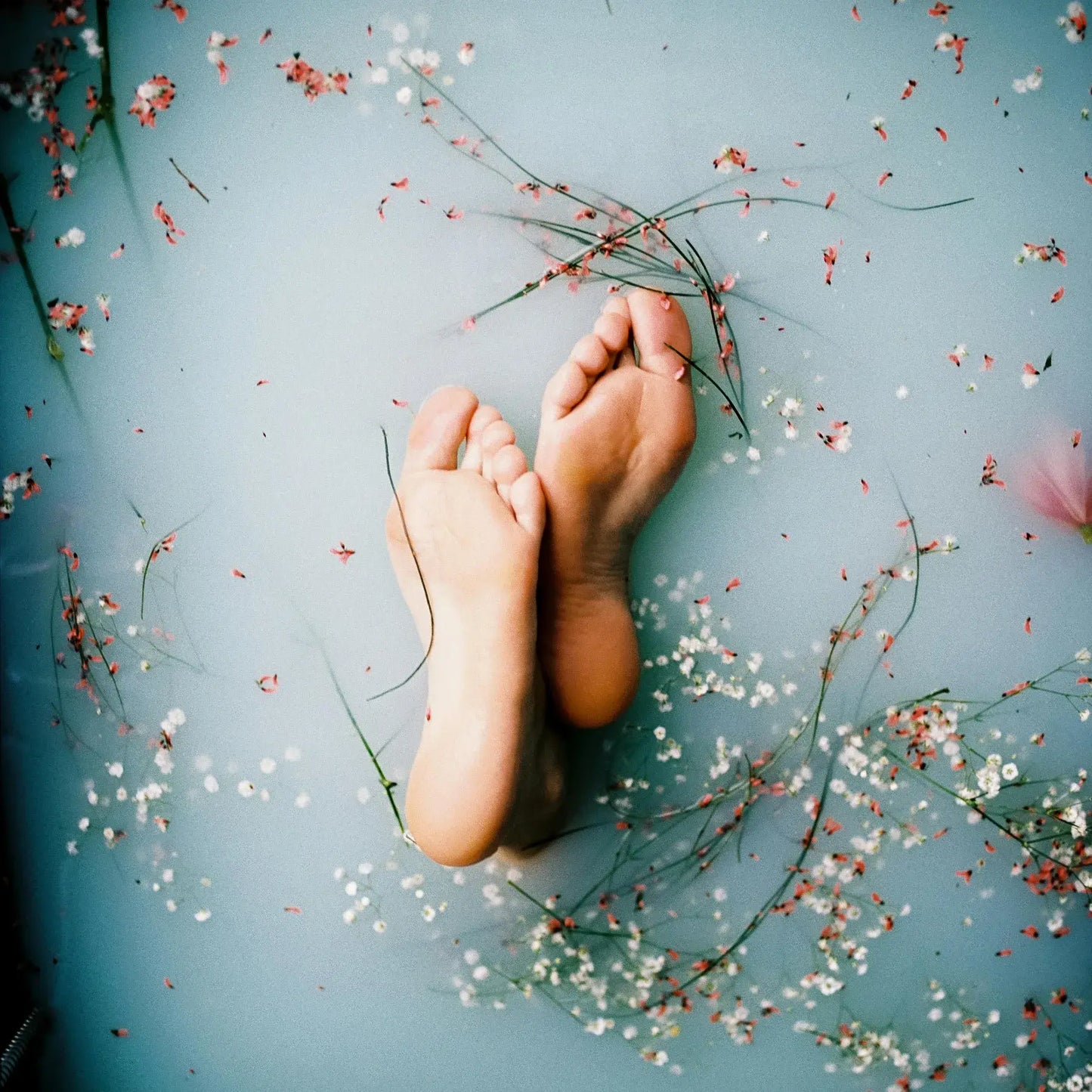 Feet in a bath with flowers